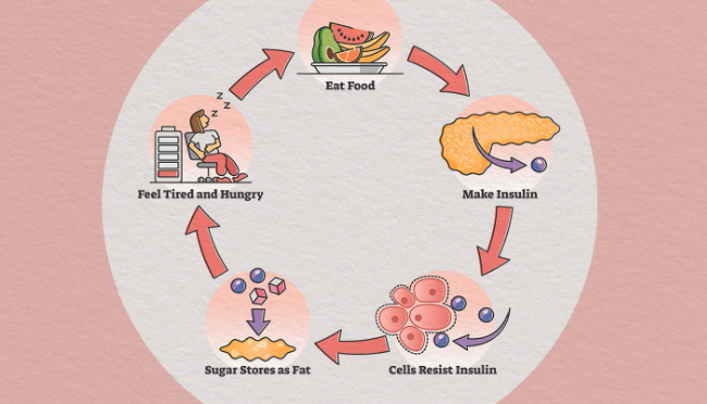 What is Insulin Resistance?